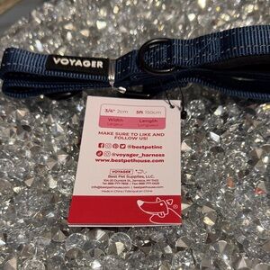 Voyager Blue Dog Leash